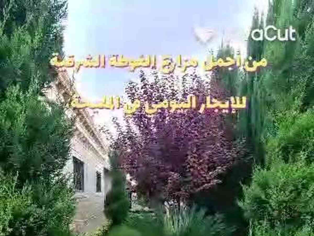 مزرعة 3 غرف 1000م² للإيجار اليومي